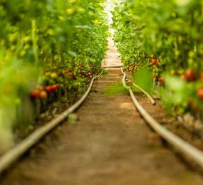 Importance of Controlling Shade Location