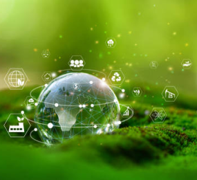 Sustainable Aviation Fuel: Paving the Way for Greener Skies