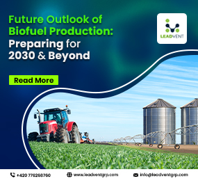 Future Outlook of Biofuel Production: Preparing for 2030 and Beyond
