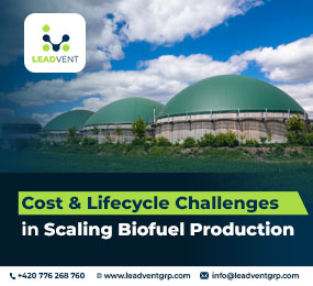 Cost & Lifecycle Challenges in Scaling Biofuel Production