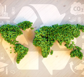 Bioplastics vs. Traditional Plastics: Are We Closing the Gap?