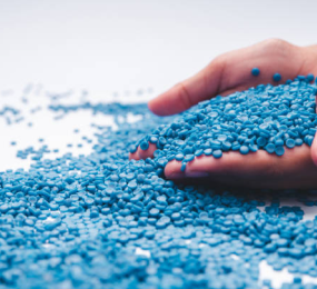 The Role of Bioplastics in Achieving a Circular Economy