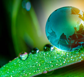 Bio-based Feedstocks: Opportunities and Risks for Biopolymer Production