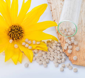 Applications of Bioplastics in the Automotive Industry