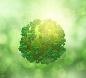 Net Zero: From Climate Commitment to Business Strategy