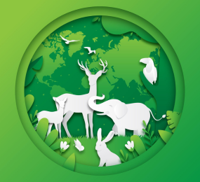 ESG reporting standards Africa conference 2026