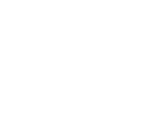Independent Advisor - Sustainability Transformation