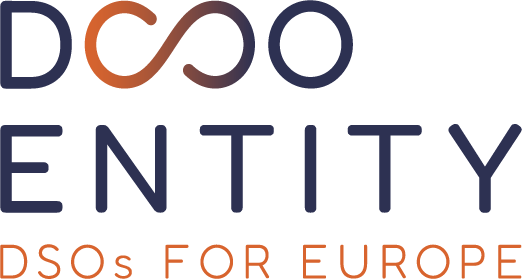 EU DSO Entity